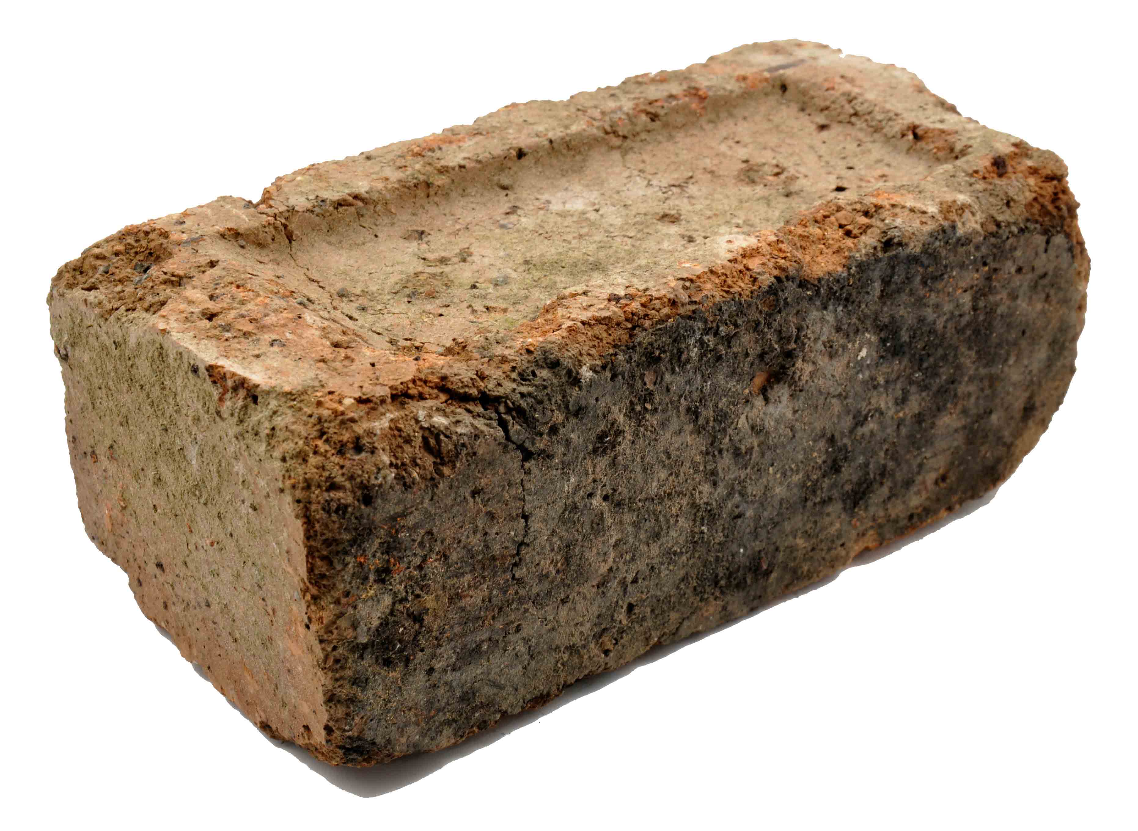 B:\Education and Families\Applications\Modes\modesimages\COTSL-1988-41imgae.jpg