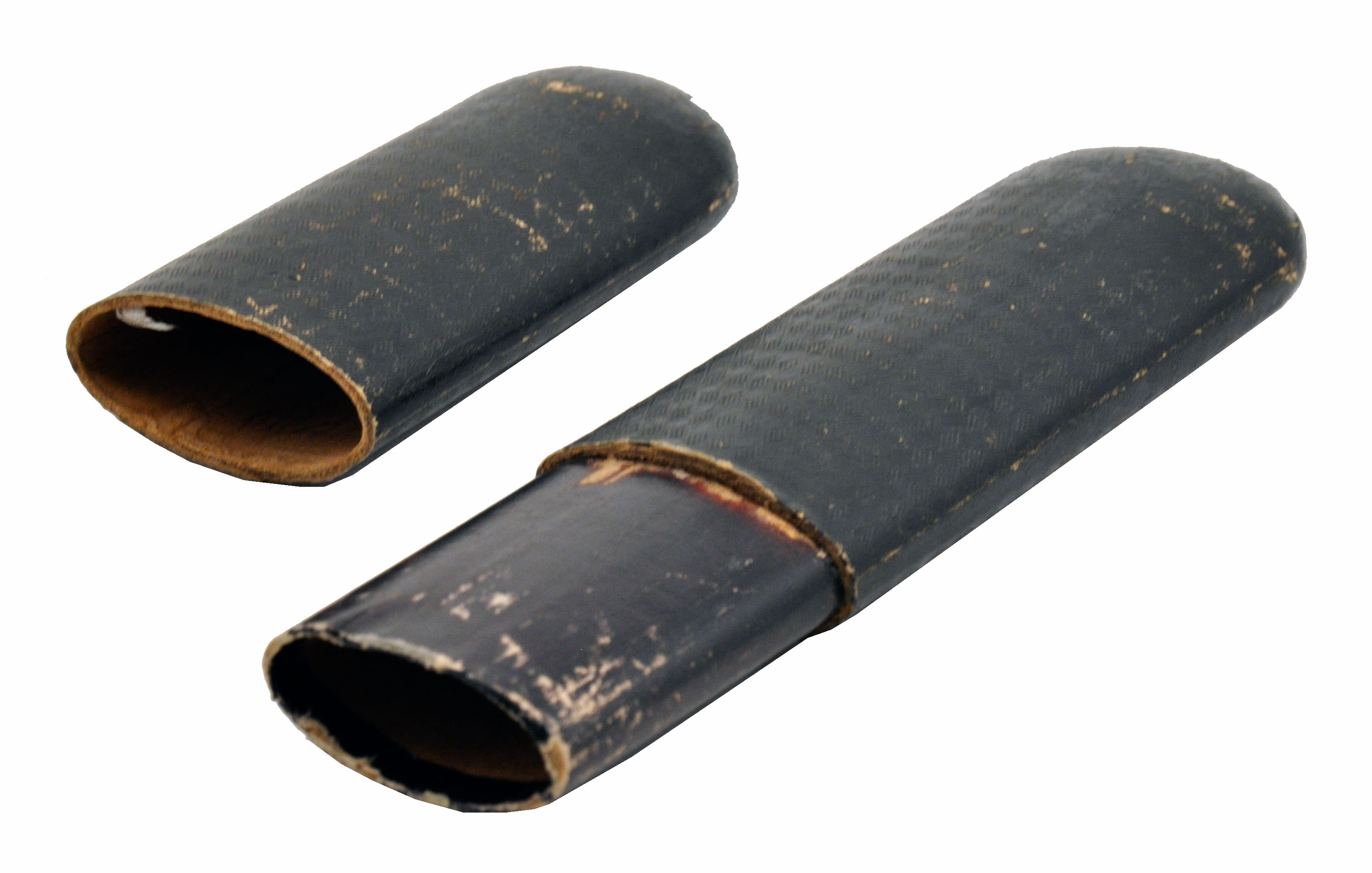 B:\Education and Families\Applications\Modes\modesimages\COTSL-1997-134imgac.jpg