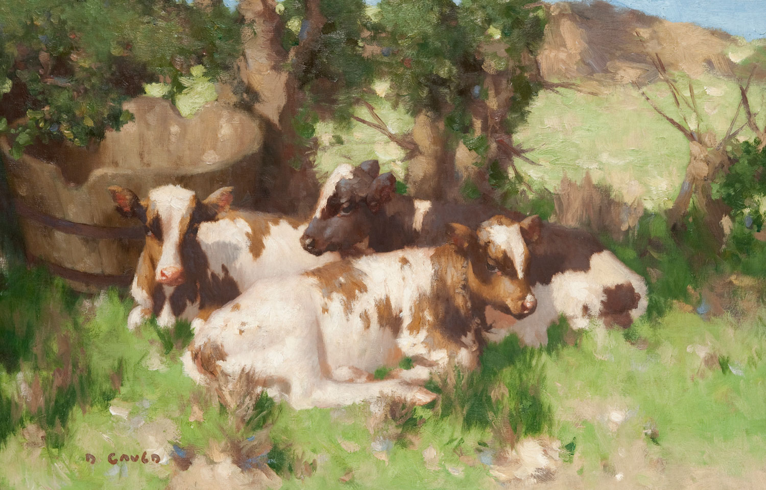 David Gauld, CALVES